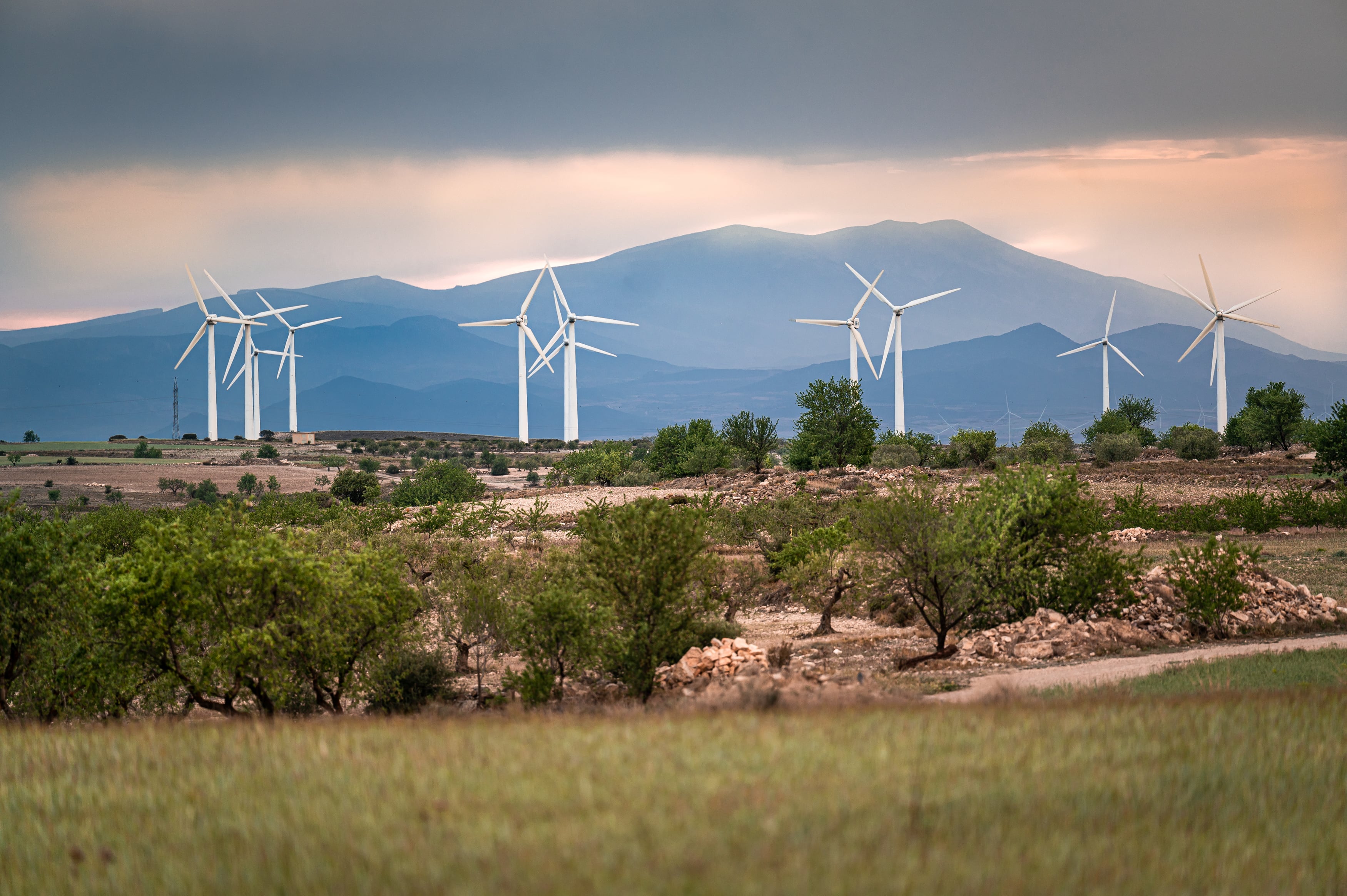 El Constitucional anula el decreto con el que Lambán quiso cambiar el modelo energético de Aragón 