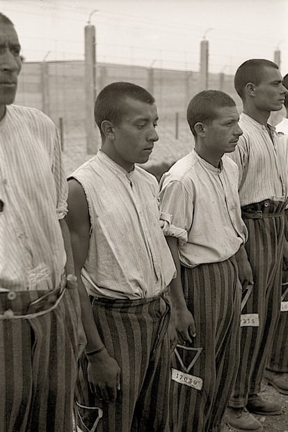 Revista de prisioneros romaníes austriacos en el campo de Dachau, el 20 de abril de 1938, tomada por F. H. Bauer.