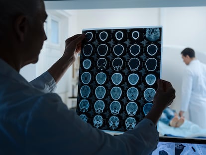 El cerebro organiza las experiencias diarias en capítulos para fijar la memoria