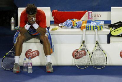 Ferrer celebra la victoria.