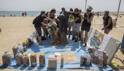 Los activistas después de recoger miles de colillas en la Barceloneta