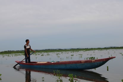Los pescadores en grupos comienzan a adentrarse a la ciénaga en horas de la mañana, en búsqueda de los pocos peces que quedan.