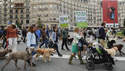 Manifestación en Barcelona para que los perros puedan entrar en el Turó Park.