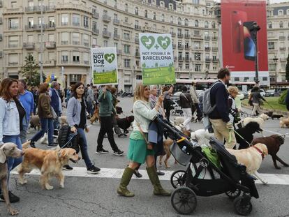 Manifestación en Barcelona para que los perros puedan entrar en el Turó Park.