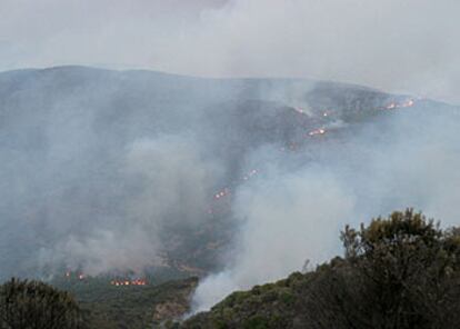 El incendio, recién iniciado en la tarde de ayer.