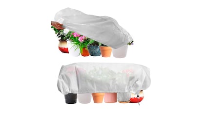 Fundas para plantas sobre fondo blanco.