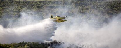 Un hidroavión trabaja para apagar el incendio registrado en El Saler (Valencia) el pasado jueves.