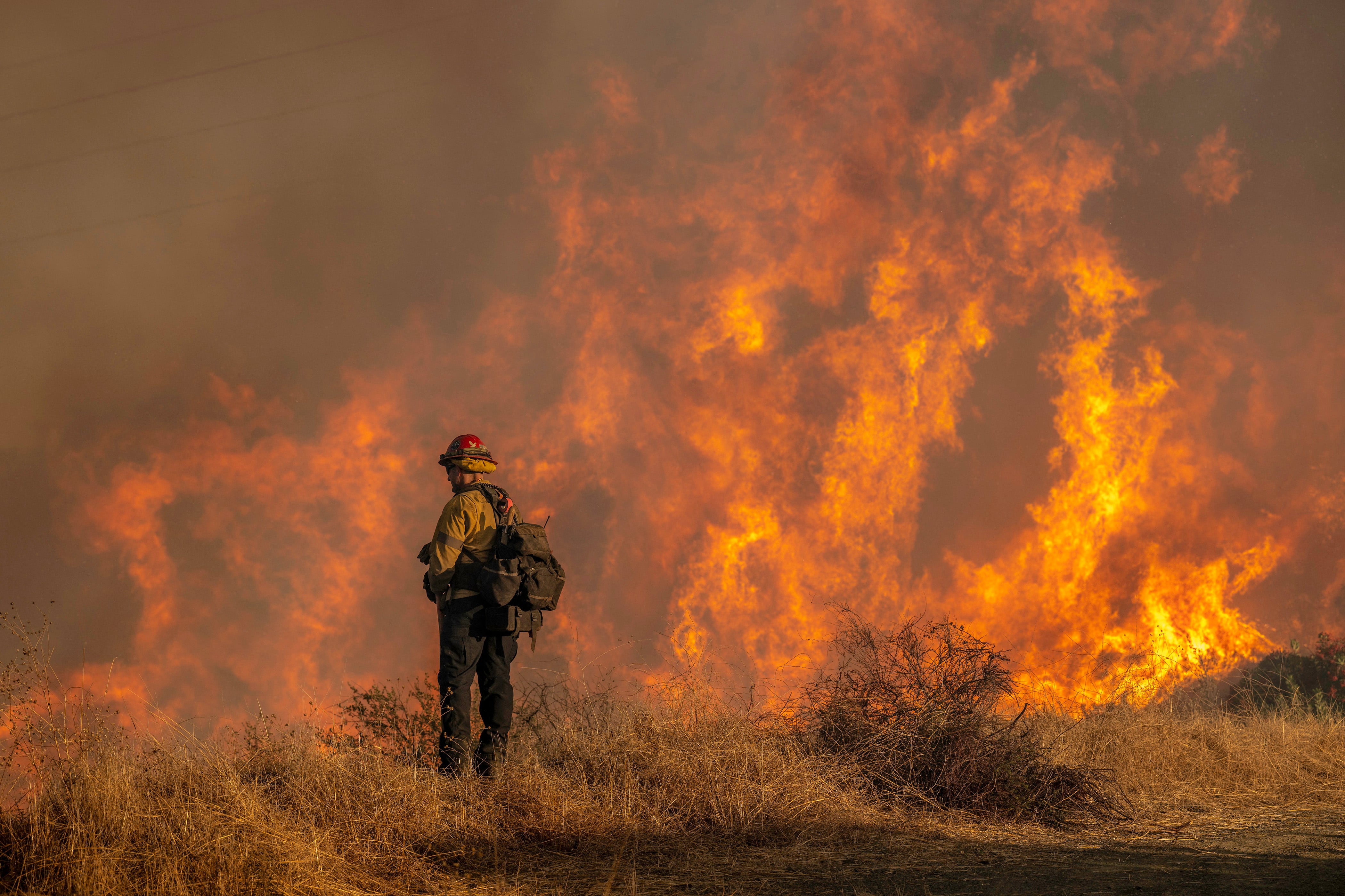 Incendios en California, en vivo | Deanne Criswell, administradora de FEMA: “Los vientos vuelven a ser potencialmente peligrosos y fuertes”