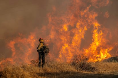 Un bombero lucha este sbado contra el incendio en el vecindario de Mandeville Canyon en Los ?ngeles.