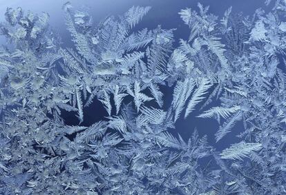 La escarcha en el cristal de una ventana en Kleinhettstedt (Alemania), el 19 de enero de 2016.