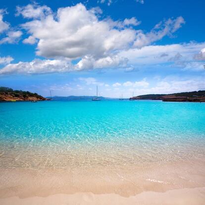 Es una de las playas más paradisiacas del oeste de <a href="https://elviajero.elpais.com/elviajero/2018/05/31/actualidad/1527782622_359062.html" target="_blank">Ibiza,</a> si es que hay alguna que no lo sea. A unos 20 minutos en coche de Sant Antoni, cala Bassa (con 46.000 menciones en Instagram, según la clasificación de Holidu) está rodeada de un gran pinar perfecto para cobijarse en la sombra y tiene unos 300 metros de longitud, así que es pequeña pero resultona. Posee una gran oferta gastronómica, de hecho aquí se encuentra el famoso Cala Bassa Beach Club, que pone ritmo y sabor a toda la playa. Se puede presumir en las redes sociales de un escenario de rocas bañadas por azules aguas, aunque estará repleto de gente que busca la misma foto perfecta. Para entretenerse también están los acantilados que la abrazan.