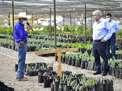 Andrés Manuel López Obrador, presidente de México presidió el evento Sembrando Vida en San Luis Potosí en 2021.