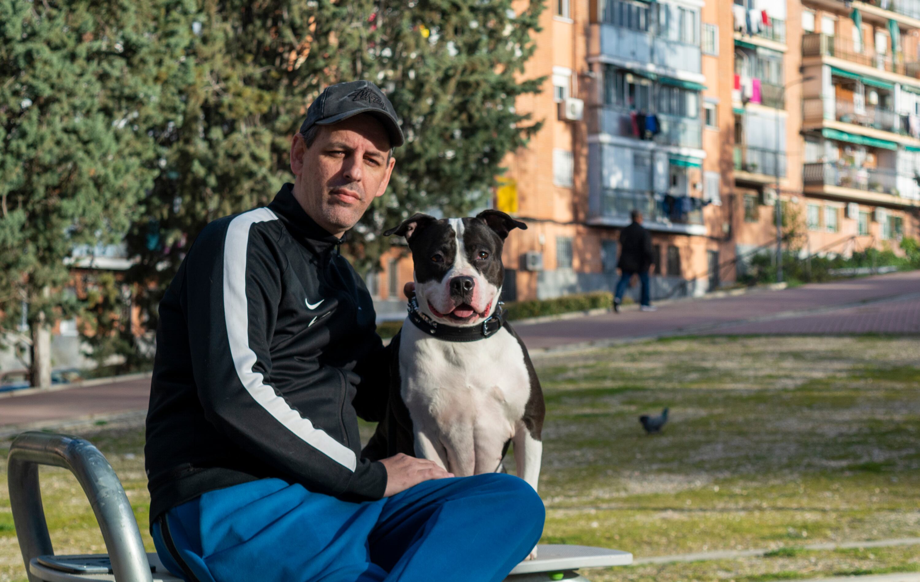 Sin techo y con mascota: la oferta de vivienda se reduce hasta un 95% para los dueños de animales en Madrid