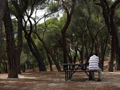 Un home d'esquena assegut en un parc de Madrid.