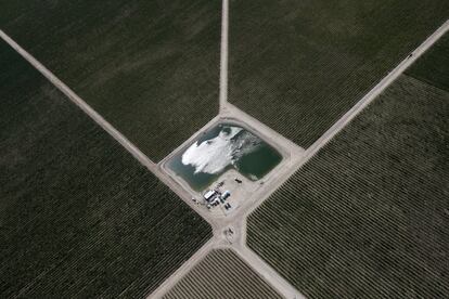 Una balsa de agua en una finca agrícola en Central Valley, California (EE UU).