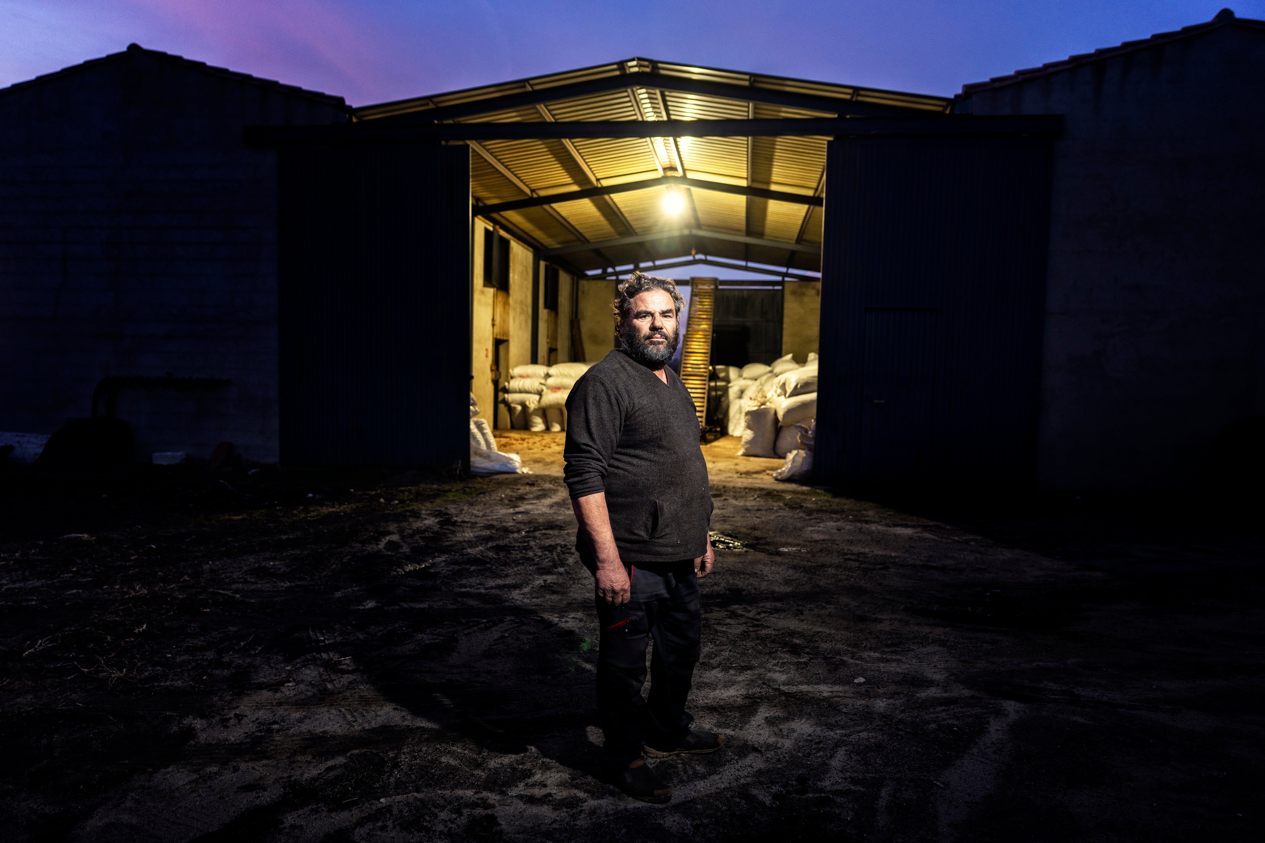 Felipe González, agricultor fotografiado en la finca de pimentos de Talayuela, este jueves.
