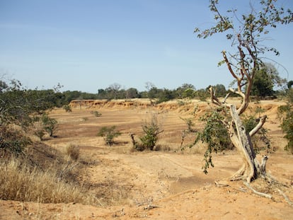 Alrededores del lago Wegnia, en la región maliense de Koulikoro.