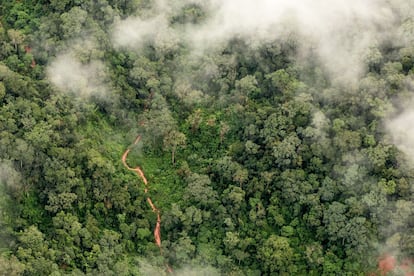 reservas forestales en el Gran Chaco