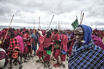 Un grupo de masis en el crter de Ngorongoro durante la celebracin de Enkipaata, un rito de paso ancestral celebrado para establecer grupos de edad entre los miembros varones de esta tribu el 23 de junio de 2024.