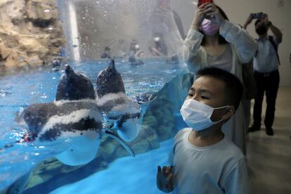 Un grupo de visitantes con mascarilla recorre el acuario Xpark en el primer día de apertura, en Taoyuan (Taiwán).