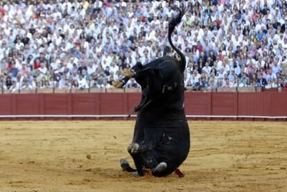 El cuarto toro de la tarde, de la ganadería de Zalduendo, dio ayer una voltereta y fue devuelto a los corrales.