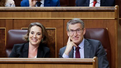 La secretaria general del PP, Cuca Gamarra, y el líder del partido, Alberto Núñez Feijóo, este jueves en el Congreso.