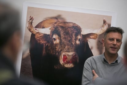 Una obra de la exposición 'Otras tauromaquias', en la Real Academia de San Fernando, en Madrid.