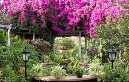 El jardínde Sitio Litre, en Puerto de la Cruz (Tenerife).