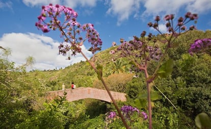 Visitantes en el Jardín Canario Viera y Clavijo, en el barranco del Guiniguada (Gran Canaria).