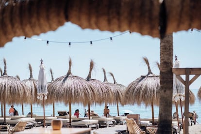 Tumbonas en La Palapa Beach Jazba, en Torremolinos (Málaga).