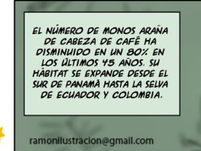 Ramón