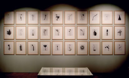 Algunas de las fotografías de Joan Fontcuberta expuestas.