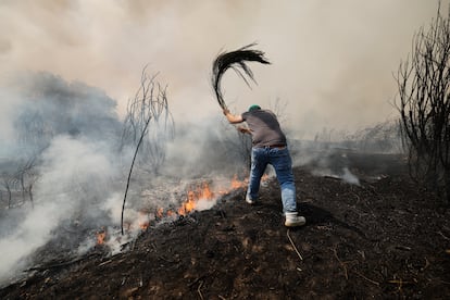 Un hombre intenta apagar los últimos reductos de un fuego en Veiga das Meas, este sábado.