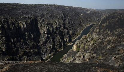 Incendio en los Arribes del Duero en la zona de Zamora.