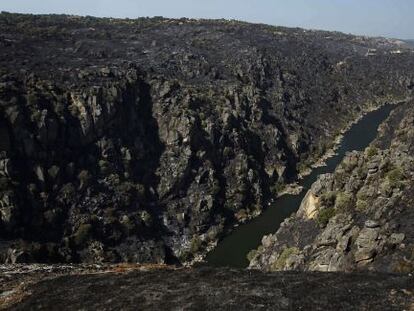 Incendio en los Arribes del Duero en la zona de Zamora.