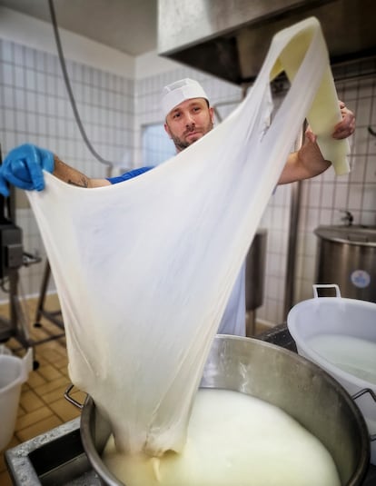 Haciendo burrata en la quesería Galatea di Rocco Prontera.