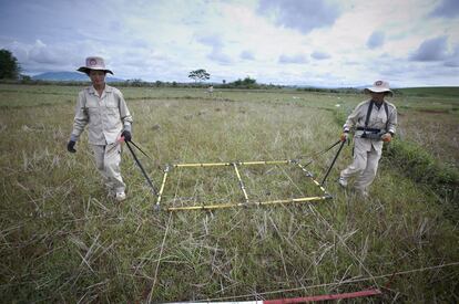 Dos especialistas de UXO Lao recorren con un detector de metales un campo que est&aacute;n &#039;limpiando&#039; para que pueda ser utilizado sin riesgo por agricultores.