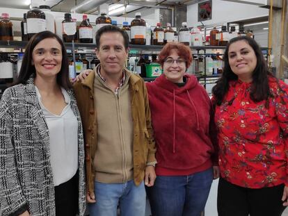 De izquierda a derecha, Ana Alcudia, Rafael Prado, Aila Jiménez y Belén Begines, integrantes de grupo de investigación de Sevilla que ha desarrollado la tinta de oro.