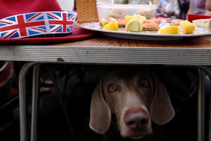 Un perro mira debajo de una mesa de comida durante una de las fiestas para conmemorar el 90 cumpleaños de la reina Isabel II, en Petworth (Reino Unido).