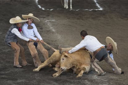 Los compañeros de equipo de un charro intentan liberarle después de que un toro aplastase su pierna durante una competición. "En la charrería resolvemos los problemas con nuestras propias manos. Tenemos códigos y reglas sobre cómo tratar a los animales y, por otro lado, hay mucho peligro para los hombres que participan en esta práctica".