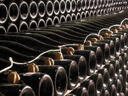 Botellas de cava reposando en la bodega.