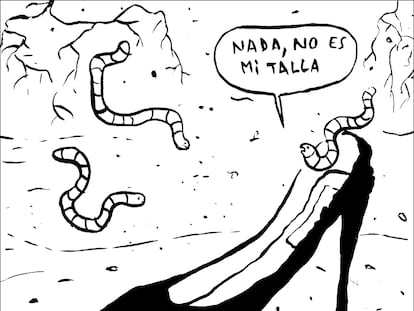 Flavita Banana: nada, no es mi talla