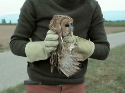 Antonin y una de las aves rescatadas, en un momento de 'Bird Island'