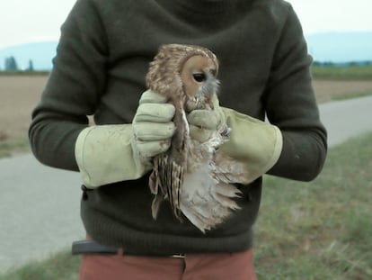 Antonin y una de las aves rescatadas, en un momento de 'Bird Island'