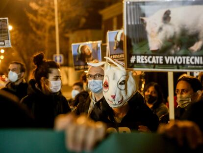 Un grupo de personas sostiene pancartas durante la concentración contra el CSIC por los animales de Vivotecnia el 27 de enero de 2022.