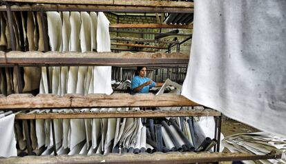 Las hojas de papel pasan a la zona de secado después de prensarlas para quitarles el agua.