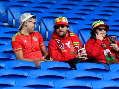 Aficionados de Gales en Cardiff.