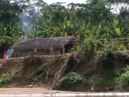 Los ancianos de un pueblo amazónico, los tsimane, tienen la misma salud vascular que un occidental de 50 años