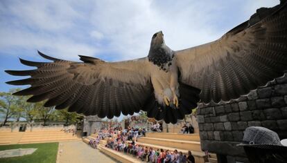 Un águila sobrevuela a los espectadores durante una exhibición en el zoo italiano, Zoom Torino, en Cumiana (Italia).