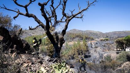 Bomberos participan en las labores de extinción en el incendio de Colera (Girona).